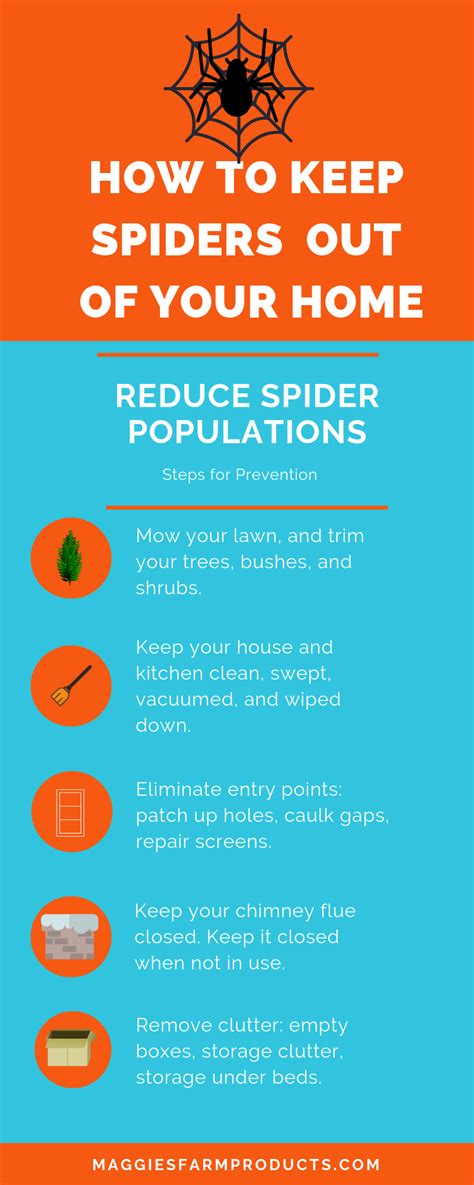 How To Get Rid Of Spiders In The House How To Get Rid Of Spiders Naturally And Keep Them Away