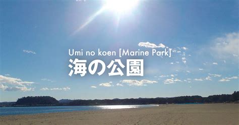 施設概要about海の公園公式サイト｜公益財団法人 横浜市緑の協会