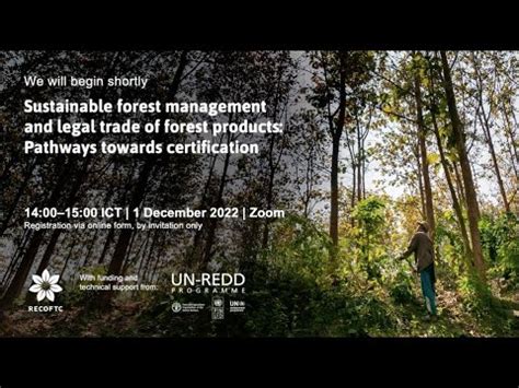 Sustainable Forest Management And Legal Trade Of Forest Products