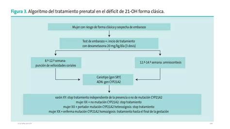 Hiperplasia Suprarrenal Congénita Genética PPT