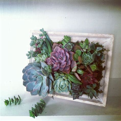 New In The Shop Perfect For Mother S Day X Succulent Arrangement