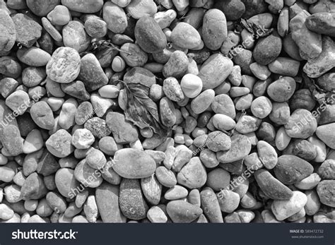 Pebbles Black White Stock Photo 589472732 | Shutterstock