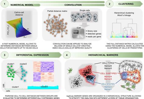 Long term and short-term effects of RNA fixation on Single Cell RNA Sequencing | RNA-Seq Blog