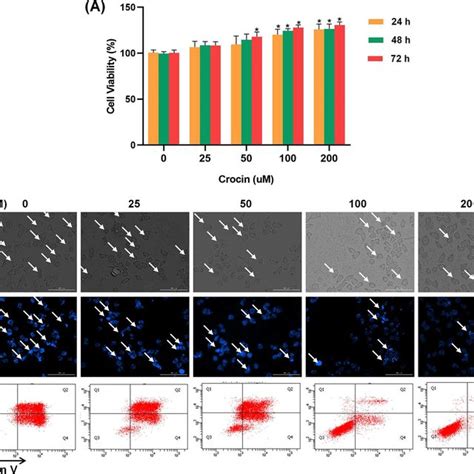 Effect Of Crocin On Cell Viability A And Apoptosis B Of