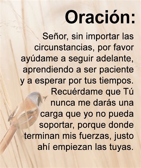 Imagenes De Oracion A Dios Aphroditetrend