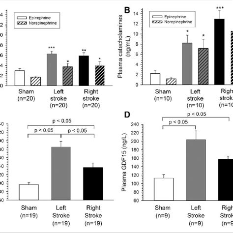 Catecholamines And Gdf Growth Differentiation Factor Plasma