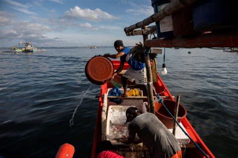 Palace Disputes Fishermen S Claim Chinese Boats Still Block Them From