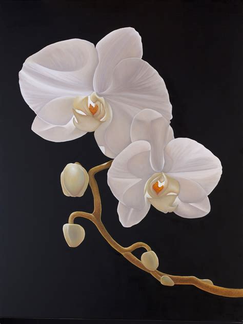 White Orchid Oil Painting Original Sold 40x30 Available In Giclee On