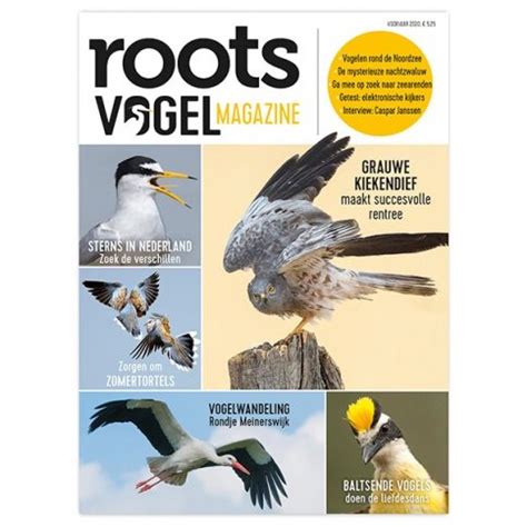 Vogels Kijken Waarom Word Je Daar Zo Gelukkig Van