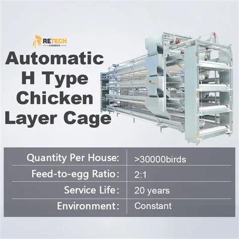 H Frame Automatic Galvanized Laying Hen Layer Egg Chicken Battery Cages