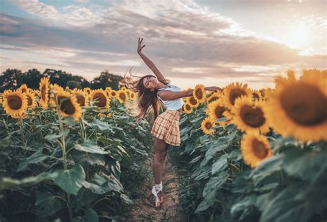 Aesthetic Sunflower Field Similar with sunflower png tumblr