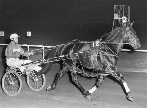 A Tribute To A True Gentleman Of Harness Racing Bill Hansell 1932 2022