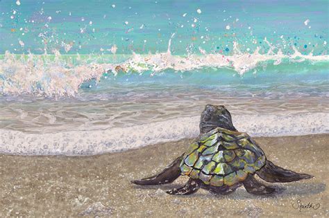 Baby Sea Turtle Wall Art Sea Turtle Art Prints Sea Turtle Etsy Artofit