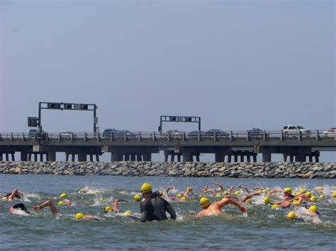 Great Chesapeake Bay Swim Update Broadneck Md Patch