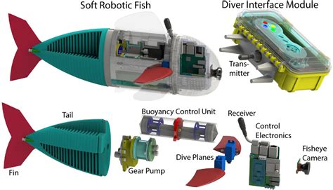 Exploration Of Underwater Life With An Acoustically Controlled Soft