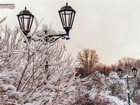 Free Images Images Sky Daytime Snow Street Light Tree Branch