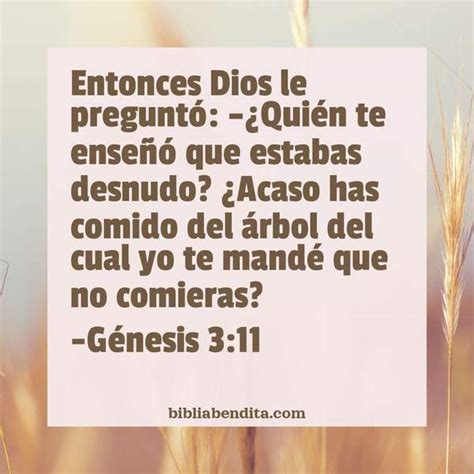 Explicación Génesis 3 11 Entonces Dios le preguntó Quién te enseñó