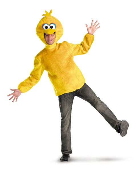 Bird Costumes (for Men, Women, Kids) | PartiesCostume.com