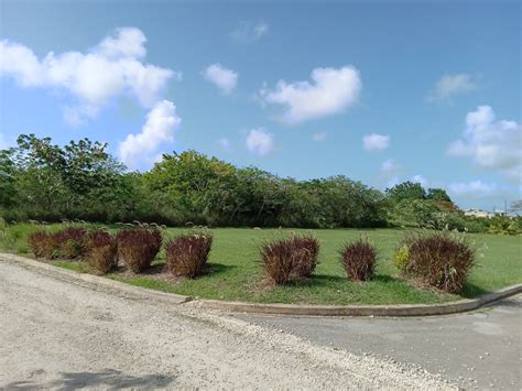 Cane Garden Lot 8 Development Land Saint Thomas Bedrooms Land