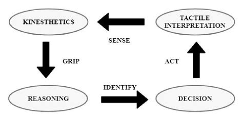 Visual Representation Of The Sense Grip Identify Act Cycle Download