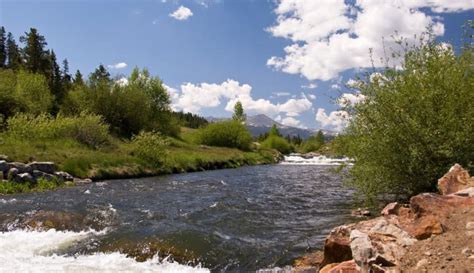 Diy Guide To Fly Fishing The Blue River In Colorado