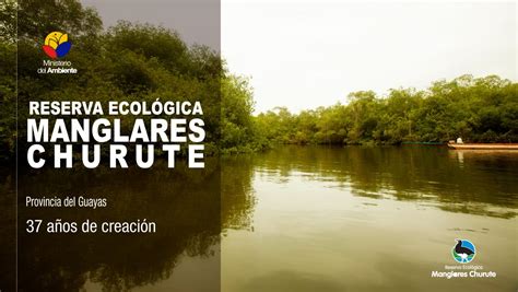 Ministerio Ambiente Agua y Transición Ecológica on Twitter 37 años