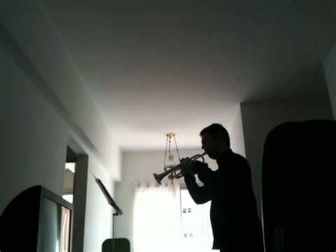 Joseph Haydn Trumpet Concerto In Eb Mov Ulisses Rolfini Youtube