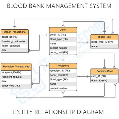 Blood Bank Database Project Schema Diagram Blood Bank Manage