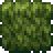 Planty Mush - Official Calamity Mod Wiki