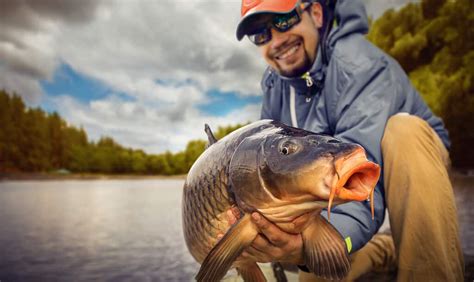 La Carpa Pi Grande Mai Catturata Nel Wisconsin Aveva Le Dimensioni Di