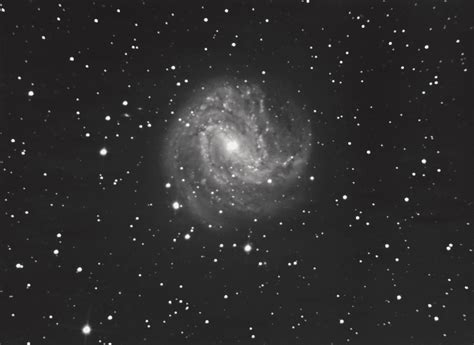 Messier 83 - monochrome - Experienced Deep Sky Imaging - Cloudy Nights