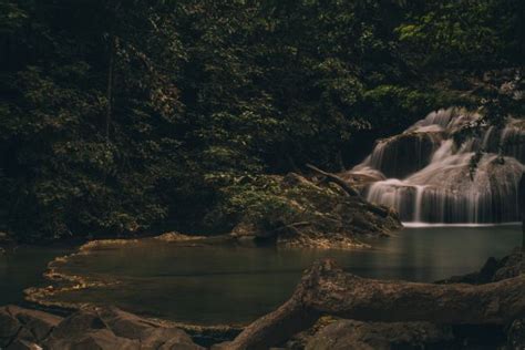 Wallpaper Nature Landscape Tropical Trees Forest Water Rocks