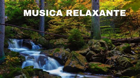 Música De Meditação Meditar Sons da Natureza Relaxante Acalme