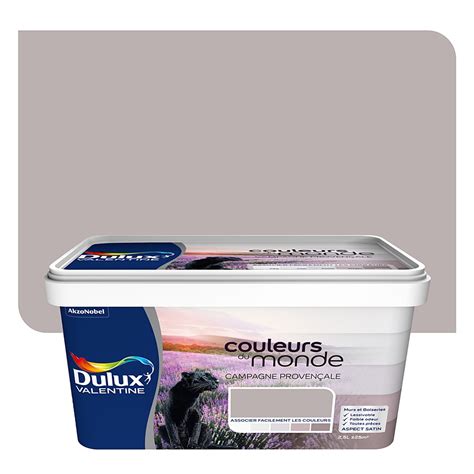 Peinture Couleurs Du Monde Campagne Proven Ale Moyen L Dulux