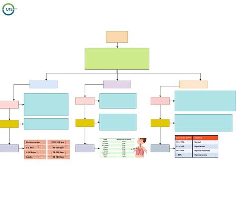 Signos Vitales Mapa Conceptual Signos Vitales Son Valores Que