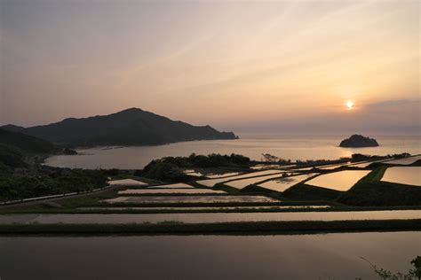 木与の棚田の夕日hamakbtさん αcafe αの写真投稿サイト ｜ ソニー