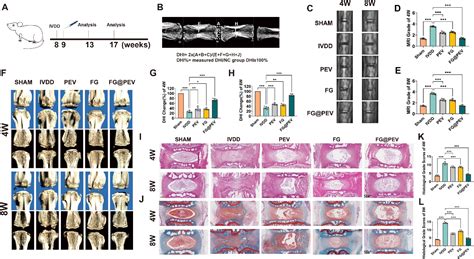 Figure From A Natural Hydrogel Complex Improves Intervertebral Disc