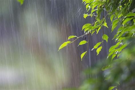 为什么一到下雨天，人会睡得特别香？到底什么原理？