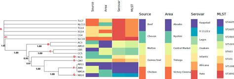 The Whole‐genome Mlst Phylogenetic Branch And Metadata Wgs In‐silico