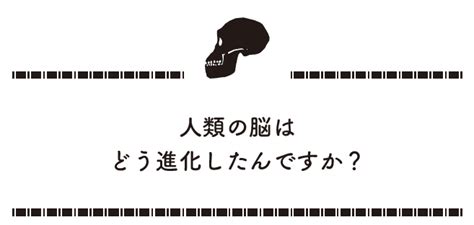 人類の脳はどう進化したんですか？『化石が語るサルの進化・ヒトの誕生』より試し読み 丸善出版 理工・医学・人文社会科学の専門書出版社