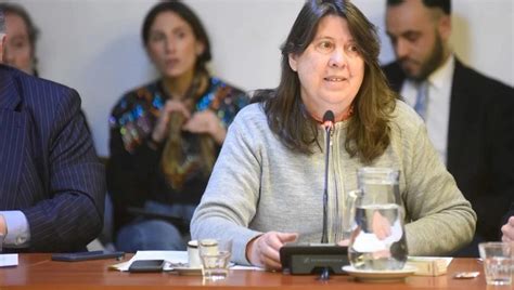 Diputados Dictaminó A Favor De La Capacitación En Discapacidad