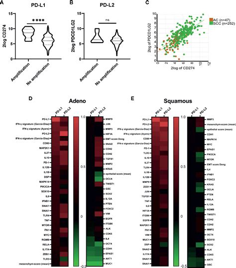 Frontiers Pd L1 And Pd L2 Expression In Cervical Cancer Regulation