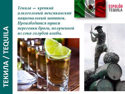 Крепкий алкогольный мексиканский национальный напиток текила ...