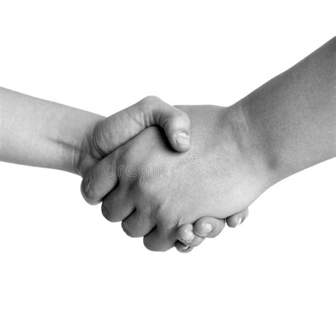 Man And Woman Handshake Black And White Isolated Stock Images Image