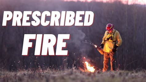 Understanding The Benefits Of Prescribed Fire Youtube