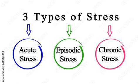 Three Types Of Stress Stock Illustration Adobe Stock