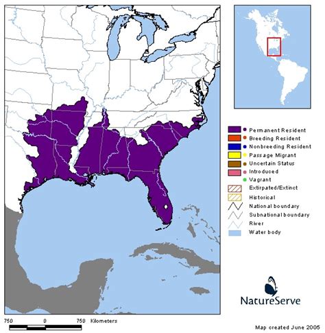 Pygmy Rattlesnake Facts Description Diet And Pictures