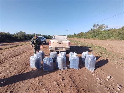 Decomisan Kilos De Hojas De Coca En Tres Procedimientos Argentina