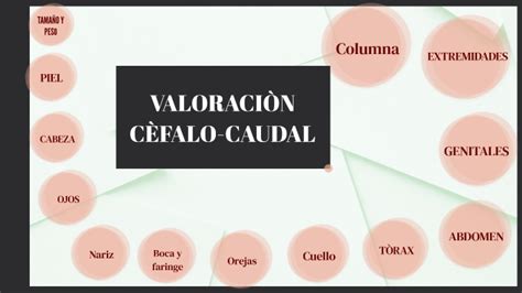 Valoraci N C Falo Caudal By Carmen Salazar Dominguez On Prezi