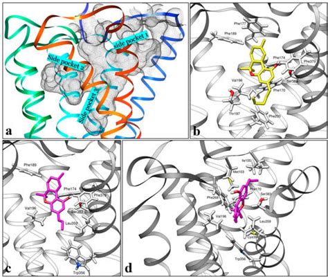 Pharmaceuticals Free Full Text Using In Silico Molecular Docking To